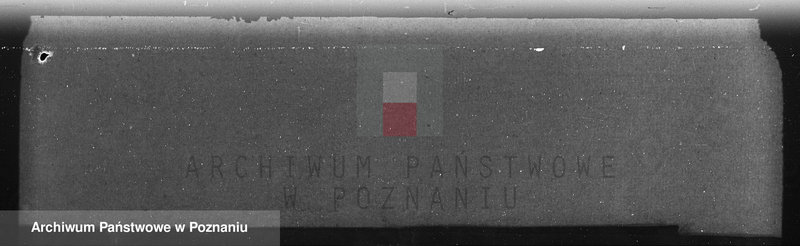 Obraz 10 z jednostki "Nadzór nad gospodarką w lasach majątku Billczew-Kowalew powiat obornicki"