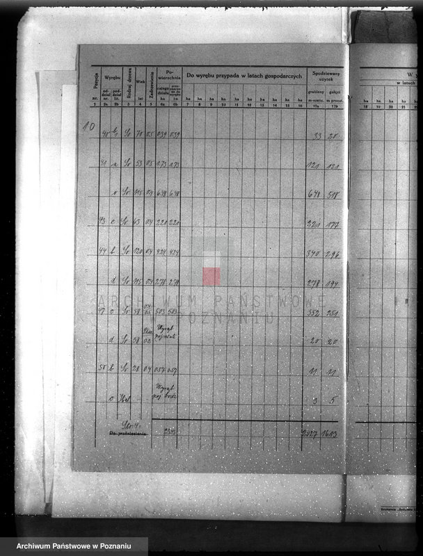 Obraz 14 z jednostki "Plan urządzenia gospodarstwa leśnego dla lasu ordynacji Kobylniki powiat szamotulski 1930-1940"