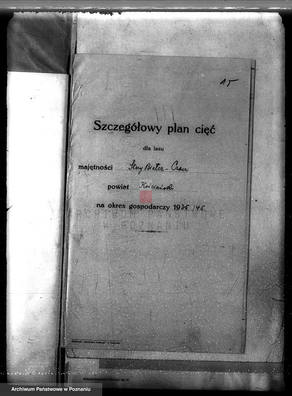 Obraz 19 z jednostki "Plan urządzania gospodarstwa leśnego dla lasu majętności Stary Białcz-Czacz powiat kościański 1935-1945"