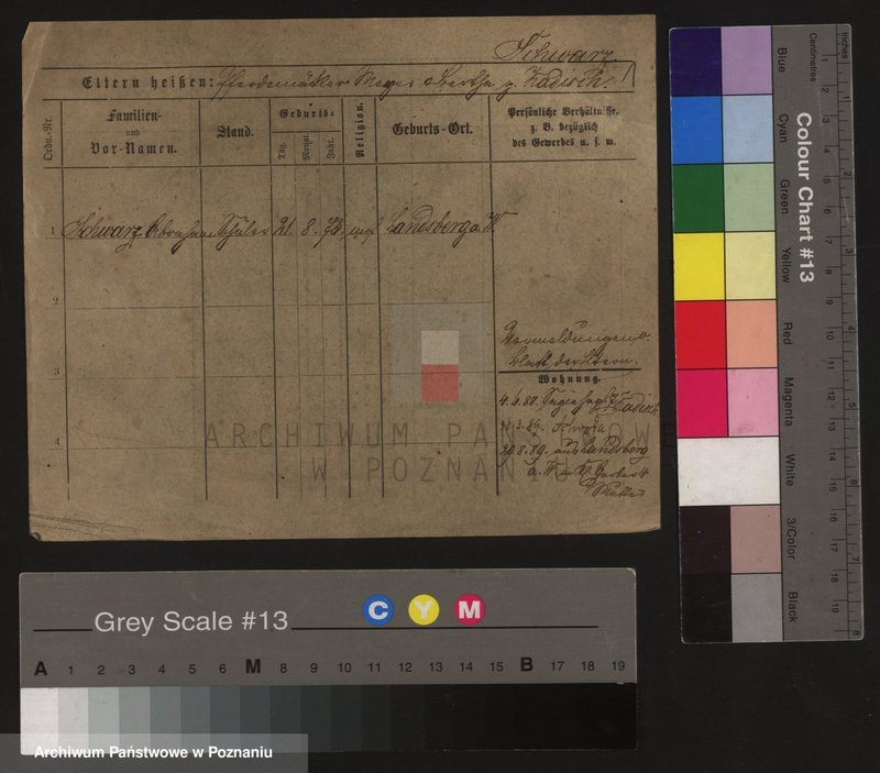 Obraz 5 z jednostki "Szwarc (samotni mężczyźni i kobiety)"