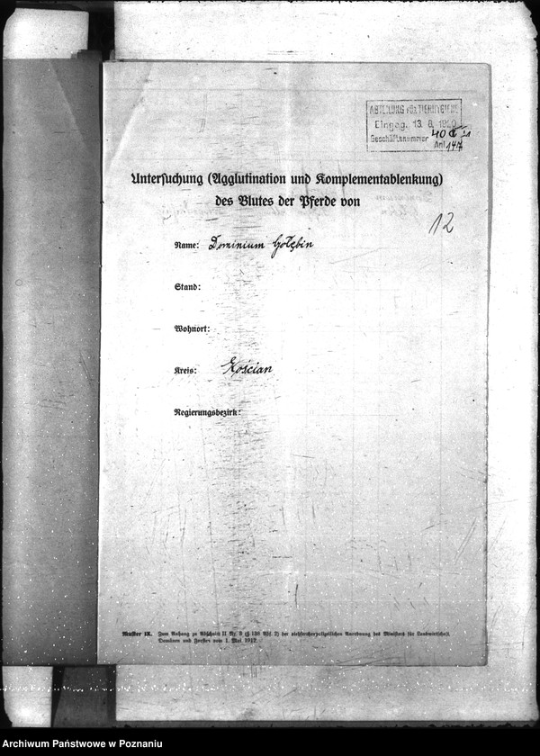 Obraz 16 z jednostki "Nosacizna - Kościan"