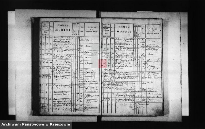 image.from.unit.number "Księga zgonów - Borek Stary"