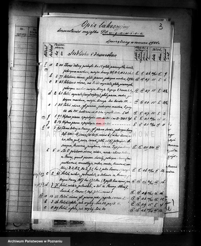 Obraz 7 z jednostki "Nadzór nad gospodarką w lasach majętności Plugawice powiat kępiński"