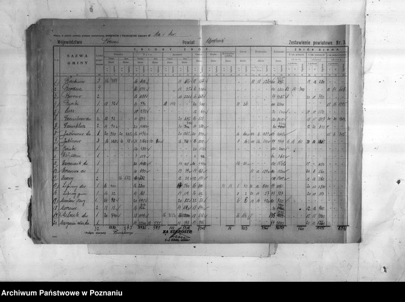 Obraz 12 z jednostki "/Statystyka produkcji rolnej - zestawienie ogólne z powiatu chodzieskiego"