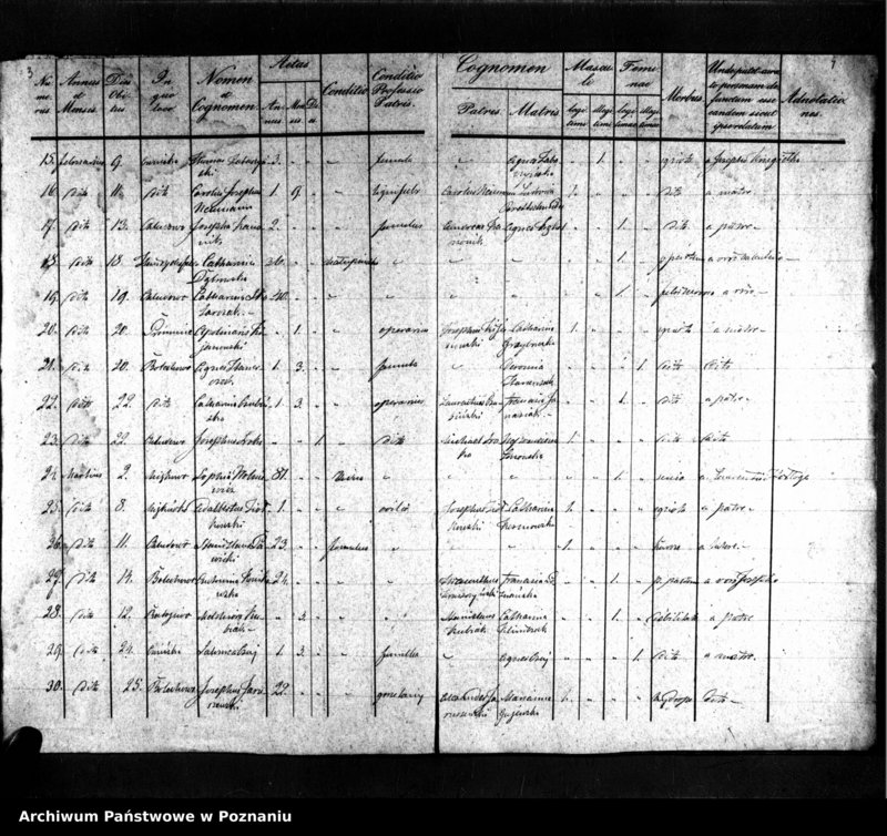 image.from.unit.number "Duplikat zmarłych"