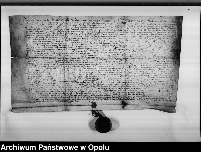 image.from.unit "Rajcowie miasta Brzegu zatwierdzają artykuły cechowe kuśnierzy."