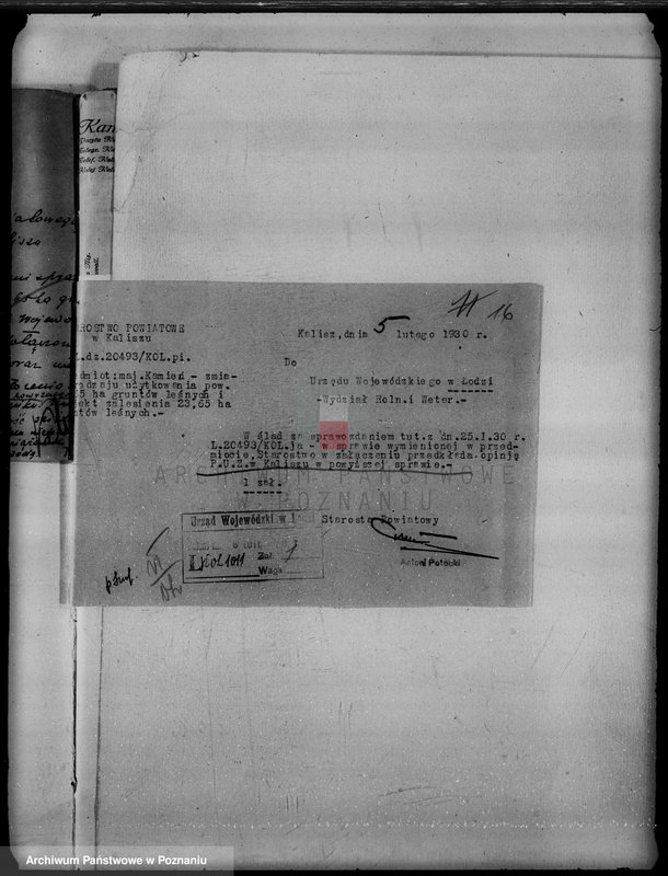 Obraz 20 z jednostki "Majątek Kamień powiat kaliski /sprawy leśne/"