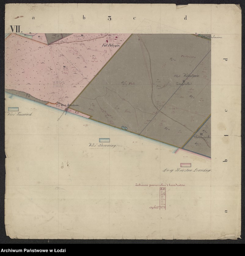 Obraz 7 z jednostki "Pierworys pomiaru dóbr prywatnych Nieborów składających się z folwarków Nieborów, Zygmuntów, Łasieczniki, Jasionna, Wólka Łasiecka, Kaczew, Polesie, Chyleniec ... oraz przyległych lasów ..."