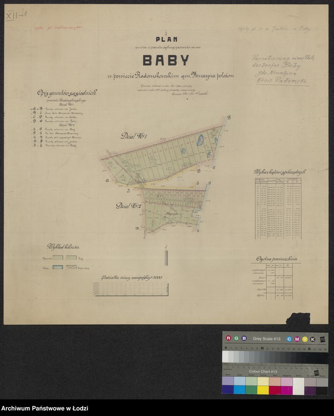 Obraz 1 z jednostki "Plan gruntów z podziału ogólnego pastwiska we wsi Baby w powiecie radomskowskim gminie Kruszyna położonych"