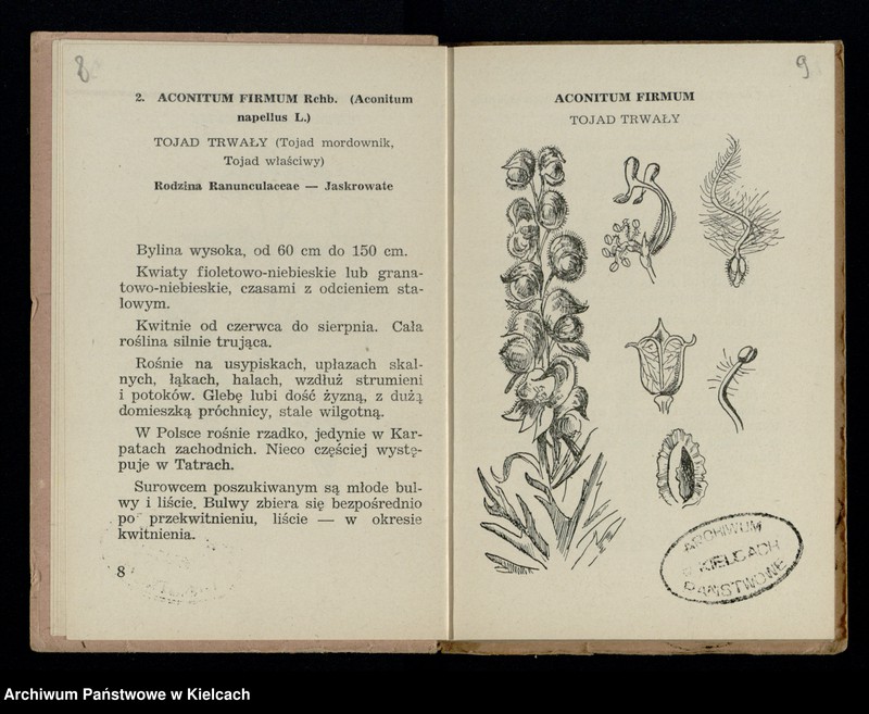 Obraz 6 z kolekcji "Rośliny lecznicze"