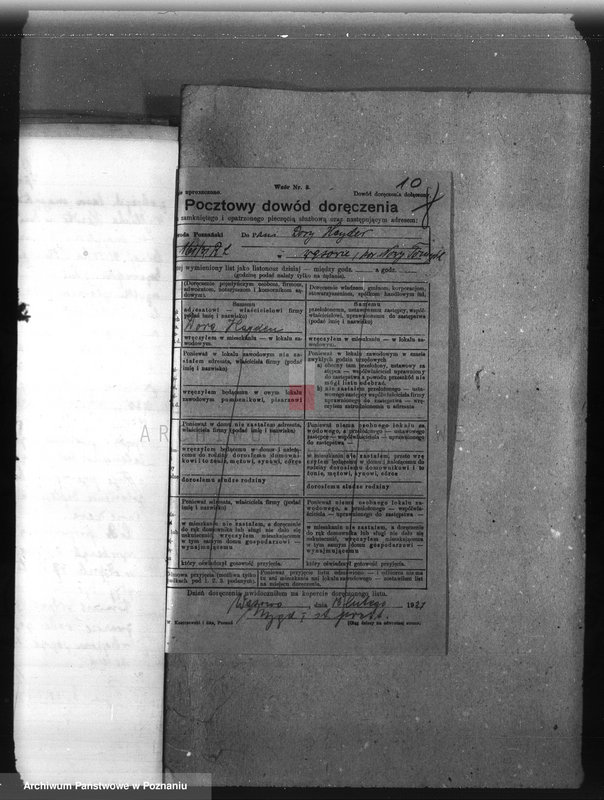 Obraz 15 z jednostki "Majętność leśna Wąsowo w powiecie nowotomyskim"