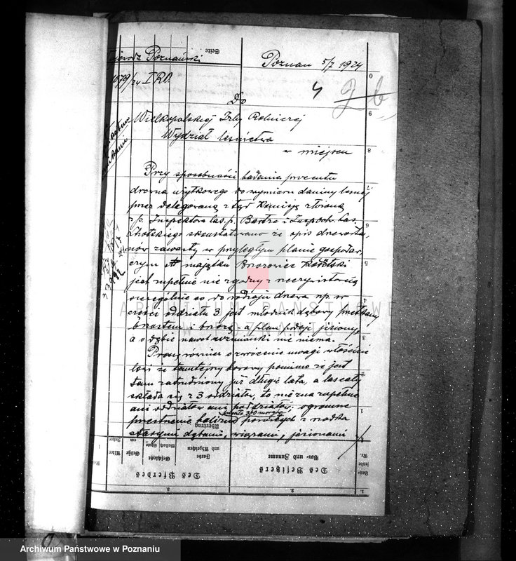 Obraz 8 z jednostki "Nadzór nad gospodarką w lasach majętności Koszuty powiat średzki"