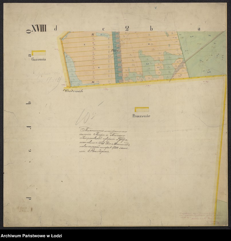 Obraz 7 z jednostki "Plan urządzenia majoratu Wolbórz"