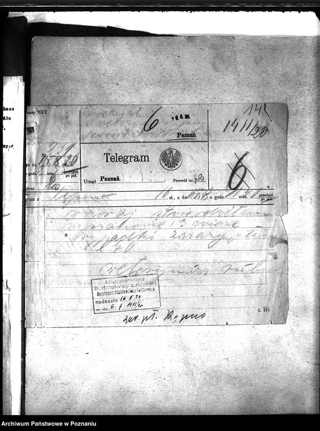 Obraz 18 z jednostki "Zaraza płucna - Kępno"