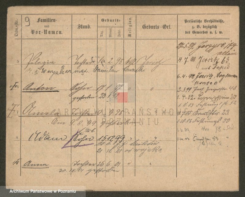 Obraz 9 z jednostki "Kosubucki - Kotas"