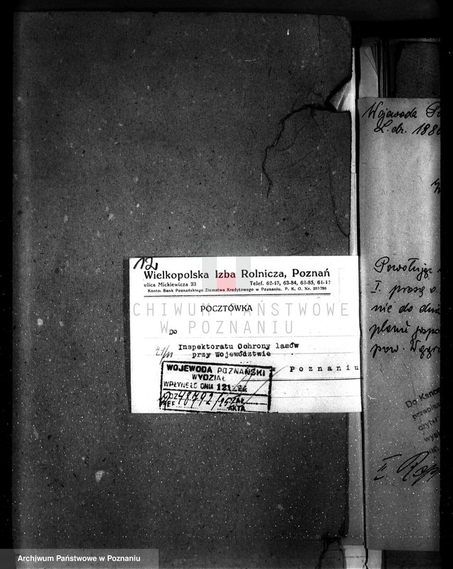 Obraz 16 z jednostki "Majętność leśna Potulice powiat wągrowiecki"