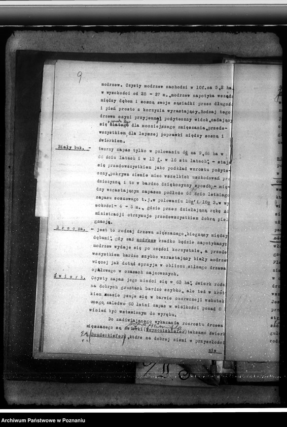 Obraz 13 z jednostki "Majętność /leśna/ Pępowo w powiecie gostyńskim"