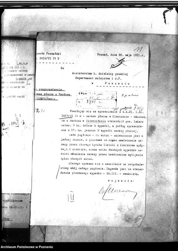 Obraz 16 z jednostki "Zaraza płucna - Inowrocław"