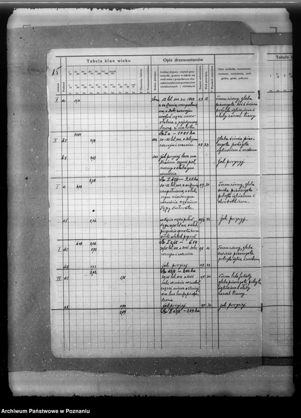 Obraz 20 z jednostki "Program gospodarczy lasu Strzyżewo w powiecie nowotomyskim 1934-1944"