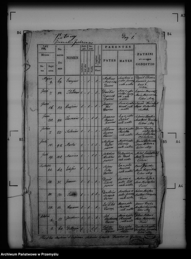 Obraz 5 z jednostki "[Kopie ksiąg metrykalnych parafii Puławy (dekanat Buków)]"