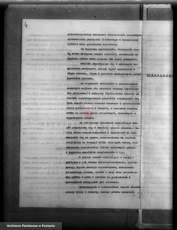 Obraz 8 z jednostki "Plan urządzenia gospodarstwa leśnego dla lasu majętności Grąblewo w powiecie nowotomyskim"