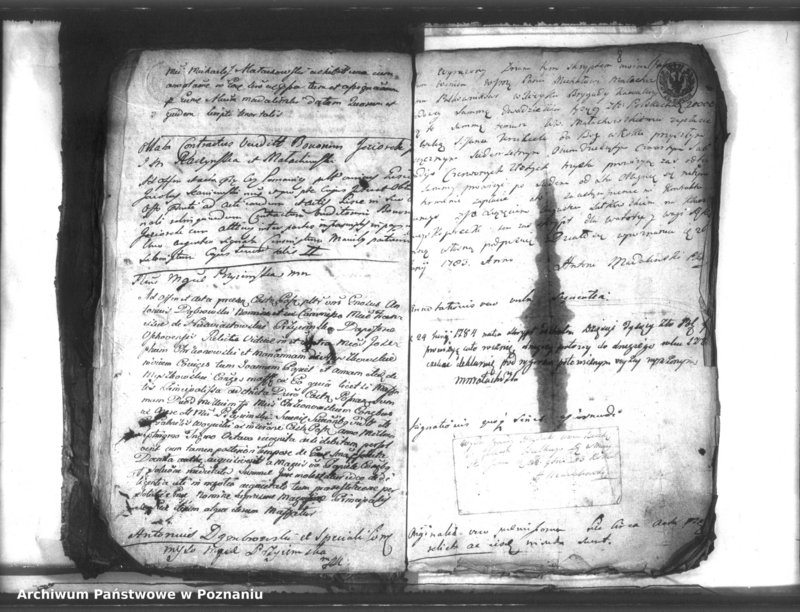 Obraz 12 z jednostki "Relationes [protocollon]"