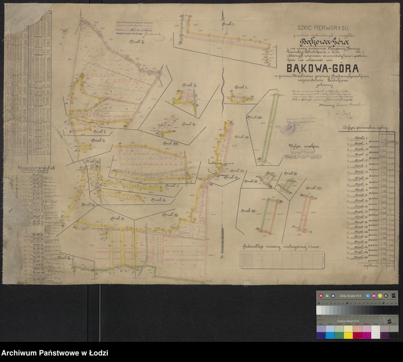 Obraz 1 z jednostki "Szkic pierworysu gruntów wydzielonych majątku Bąkowa Góra na mocy dobrowolnej umowy z dnia 26 IV 1922 i na mocy orzeczenia OKZ w Piotrkowie ... oddanych w zamian za serwituty leśne i pastwiskowe na własność wsi Bąkowa Góra w gminie Masłowice powiecie radomskowskim u województwie łódzkiem położonej"