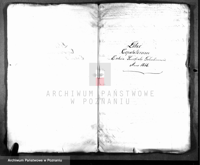 Obraz 5 z jednostki "Duplicatum baptisatorum, copulatorum, mortuorum"