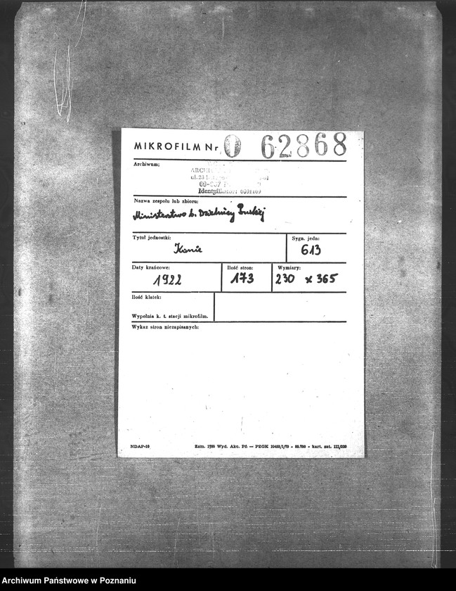 Obraz 2 z jednostki "Konie"