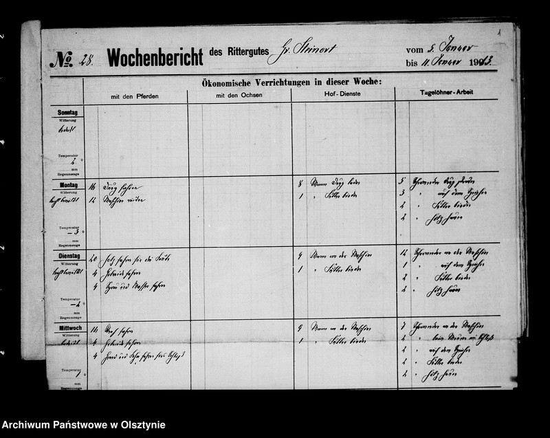 Obraz z jednostki "/Wochenberichte des Rittergutes Gr. Steinort Nr. 28-52/"