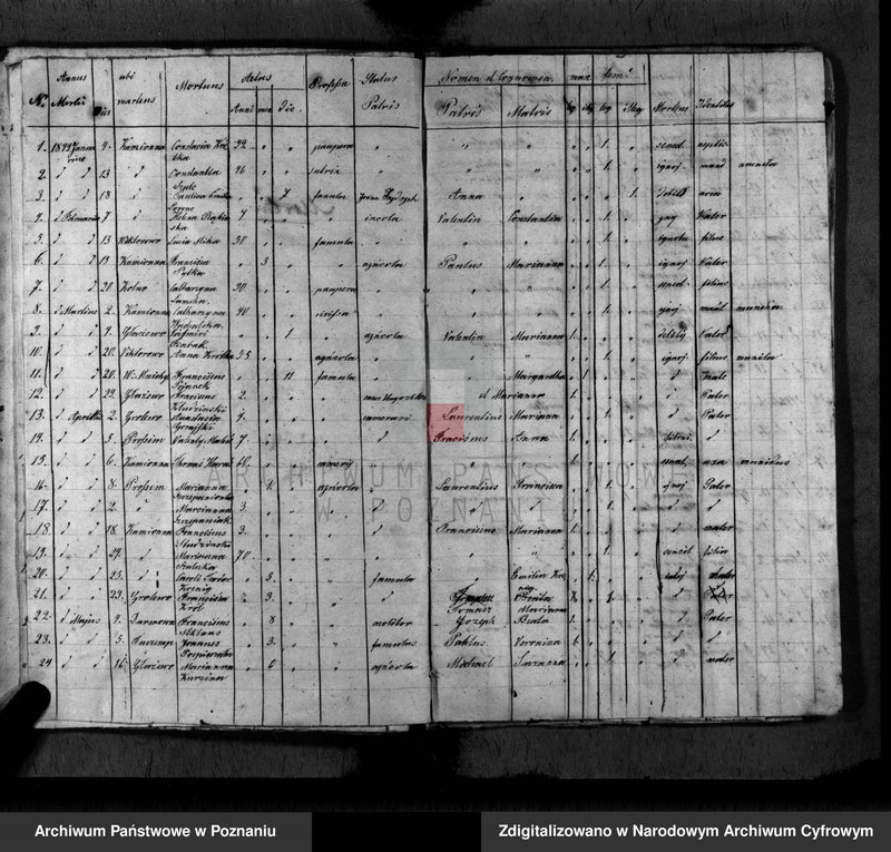 Obraz 14 z jednostki "Duplikat baptisatorum, copulatorum, mortuorum"