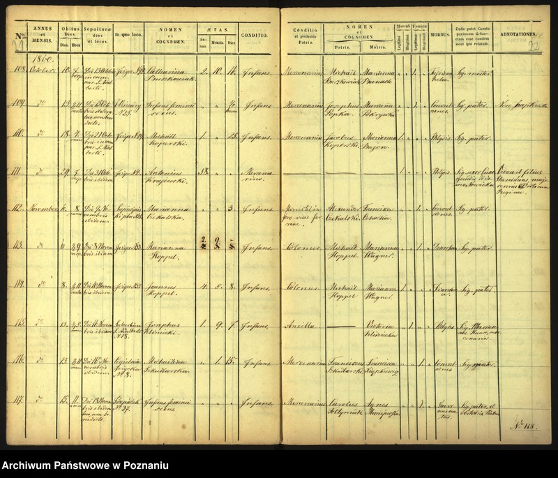 Obraz 14 z jednostki "Księga zgonów"