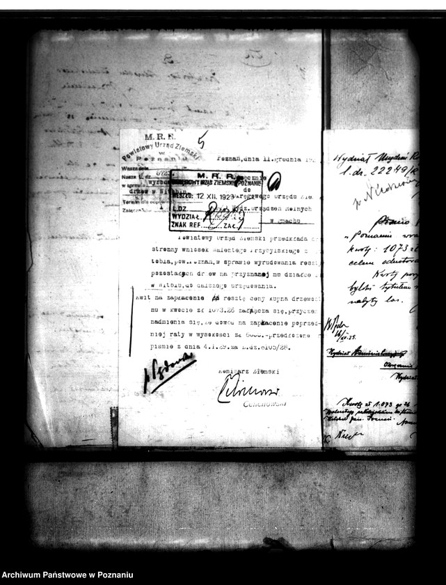 Obraz 9 z jednostki "Parcelacja lasu Witobel XV powiatu poznańskiego Walenty Przybylski"