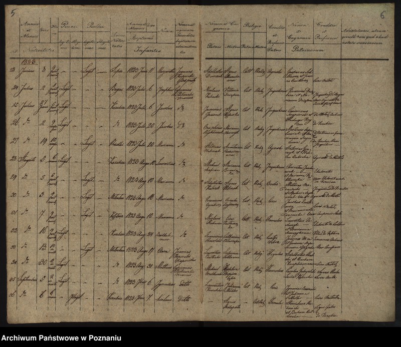 Obraz 6 z jednostki "Duplikatus Librorum Metrices Baptisatorum, Copulatorum et Mortuorum"