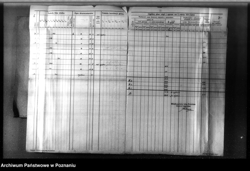 Obraz 8 z jednostki "Nadzór nad gospodarką w lasach majętności Nowy Dwór w powiecie nowotomyskim"