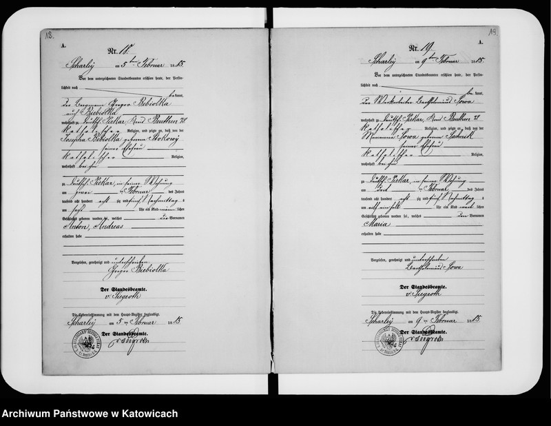 image.from.unit.number "Księga urodzeń nr 1-196"