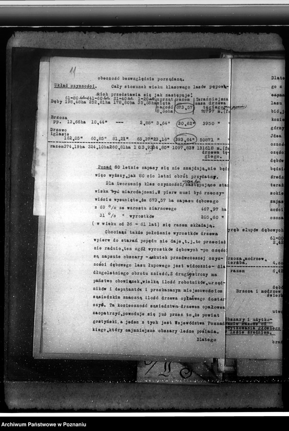 Obraz 15 z jednostki "Majętność /leśna/ Pępowo w powiecie gostyńskim"