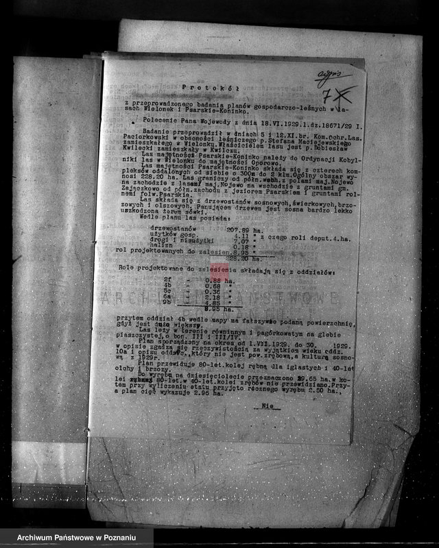 Obraz 11 z jednostki "Nadzór nad gospodarką w lasach majętności Kobylniki powiat kościański"