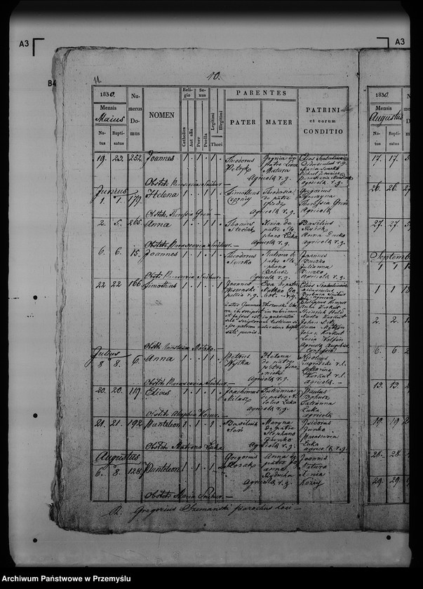 Obraz 16 z jednostki "[Kopie ksiąg metrykalnych parafii Dziewięcierz (dekanat Rawa Ruska)]"