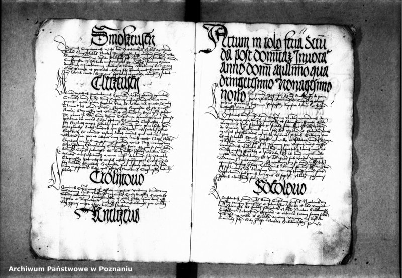 Obraz 17 z jednostki "Inscriptiones, relationes, decreta [inducta]"