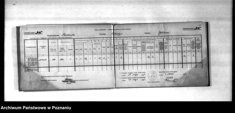 Obraz 8 z jednostki "Polnische Bodenbenutzugserhebung. Kreis Wollsbein (Wolsztyn)"