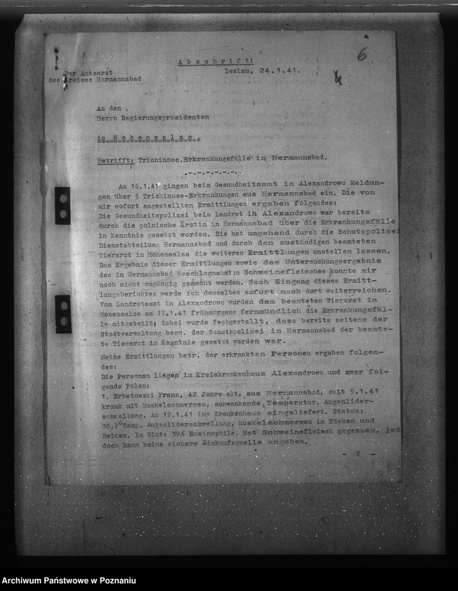 Obraz 10 z jednostki "Trichinose, Typhus"