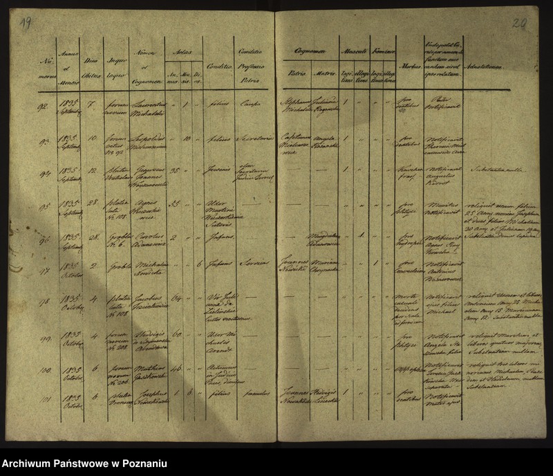 Obraz 13 z jednostki "Księga zgonów"