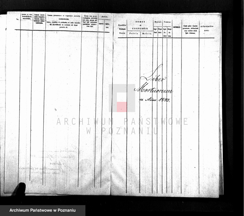 Obraz 11 z jednostki "Duplikat baptisatorum, copulatorum, mortuorum"