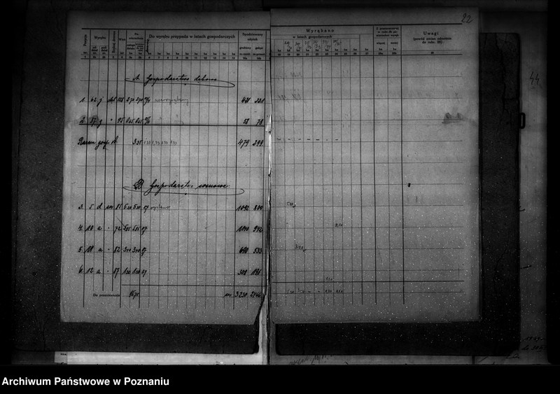 Obraz 17 z jednostki "Ogólny opis lasu majętności Września (plan cięć i plan urządzenia gospodarstwa leśnego)"