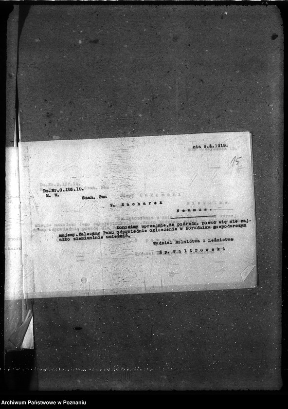 Obraz 19 z jednostki "Posady - zgłoszenia"