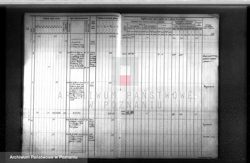 image.from.unit.number "Plan urządzenia gospodarstwa leśnego dla lasu majętności Rudki w powiecie szamotulskim 1929-1939"