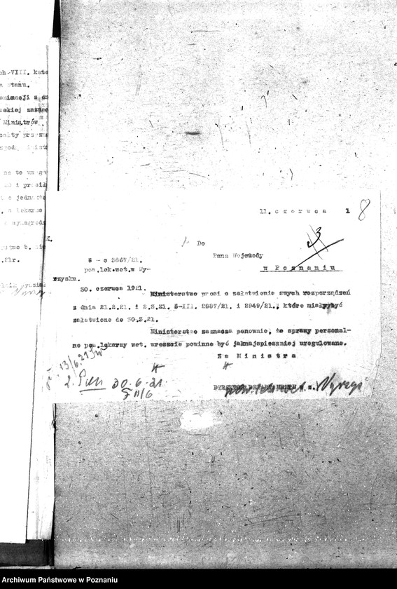 Obraz 12 z jednostki "Pow. lekarz Weterynaryjny Wyrzysk"