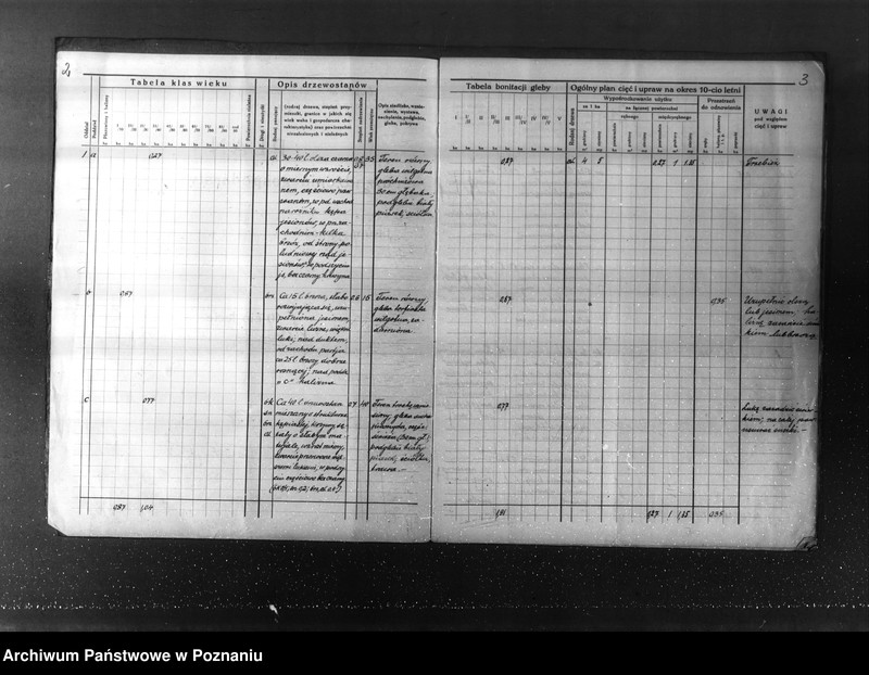 Obraz 6 z jednostki "Plan urządzenia gospodarstwa leśnego dla lasu majętności Kuleczyn w powiat nowotomyski 1933-1943"