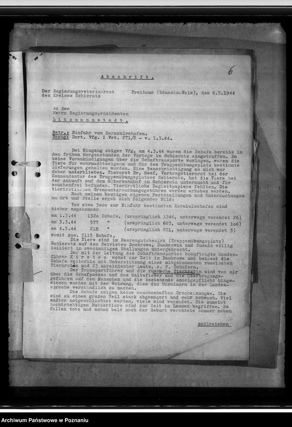 Obraz 10 z jednostki "Einfuhr von Karakulschafen aus den Besetzten Ostgebieten"